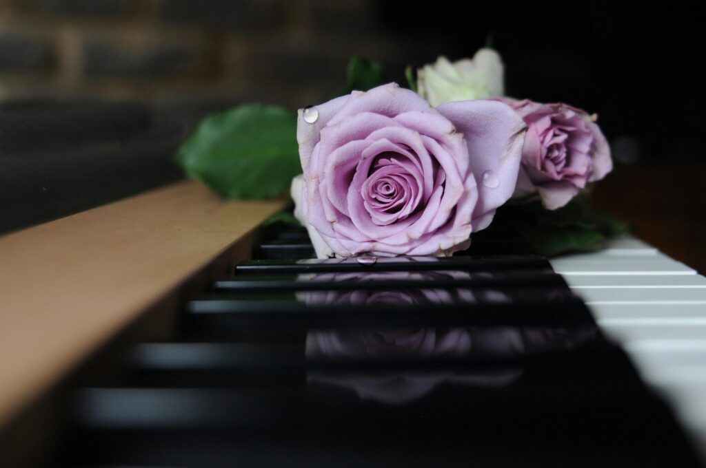 Elegant pink rose resting on piano keys, adorned with dew drops, blending nature and music.